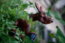 Pablo BAILLEUL - Bailleul