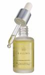 Frédéric FLAMEN - OCEAN PRODUCTION